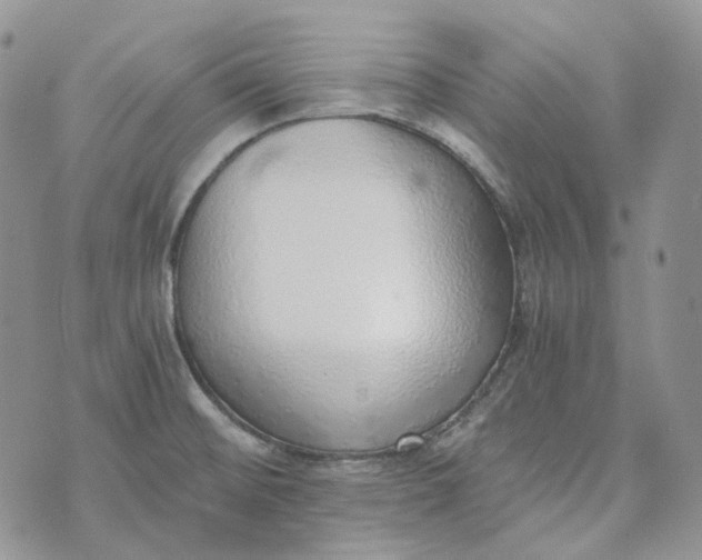 X0000072981476200608041231