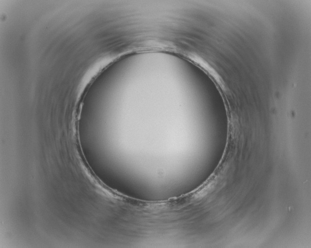 X0000072981477200608041231