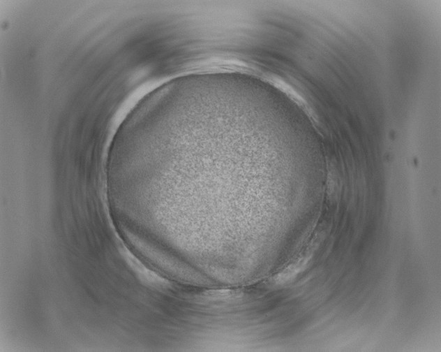 X0000072981478200608041231