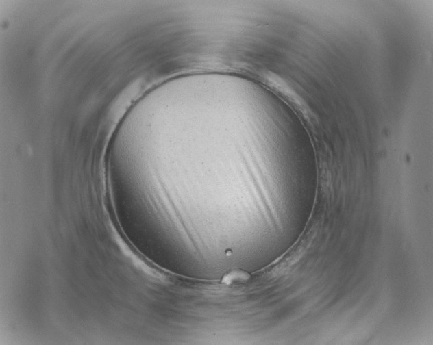 X0000072981479200608041231