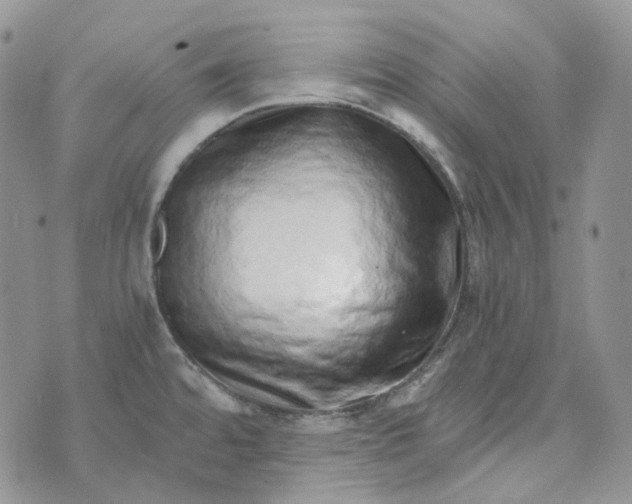 X0000072981480200608041231