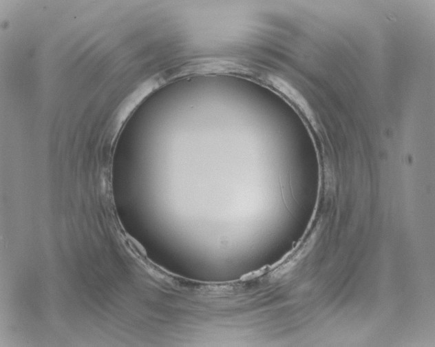 X0000072981481200608041231