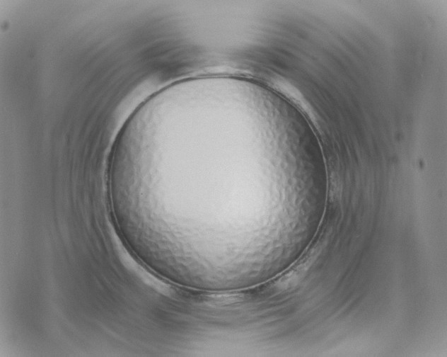 X0000072981483200608041231