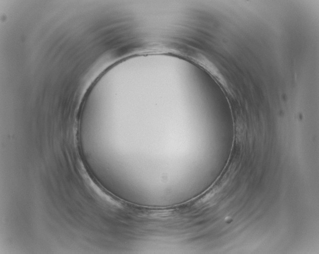 X0000072981484200608041230