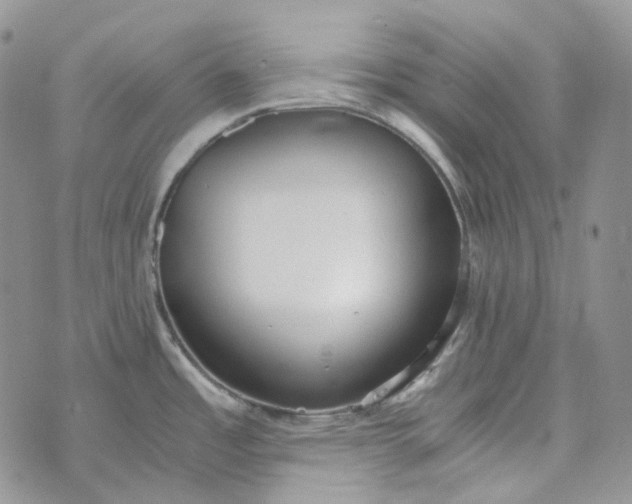 X0000072981485200608041230