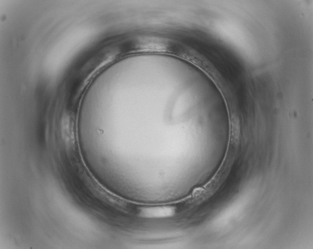 X0000072981487200608041230