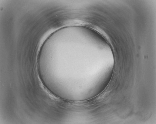 X0000072981488200608041230