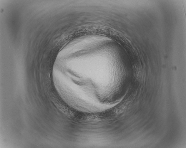 X0000072981489200608041230