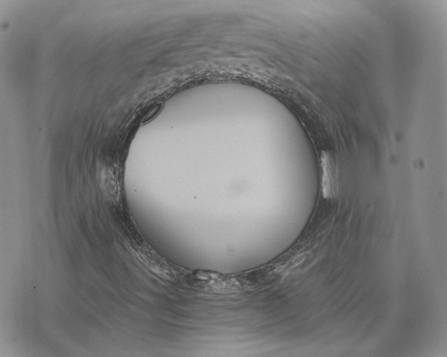 X0000072981491200608041230