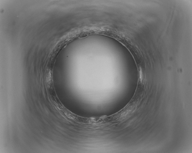 X0000072981492200608041230