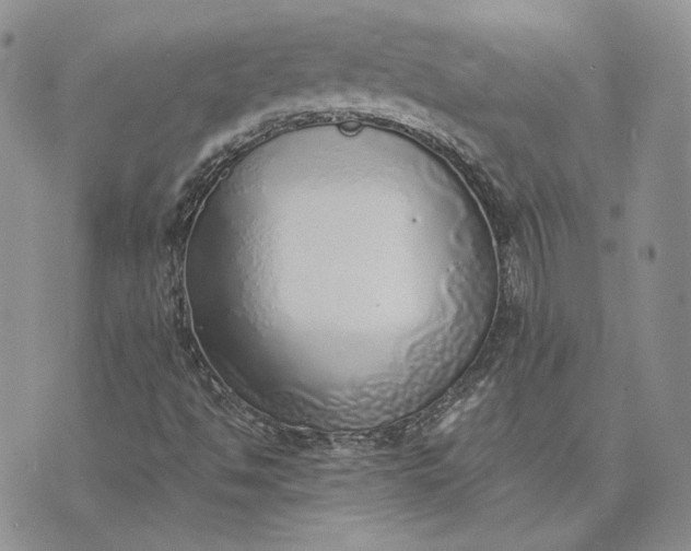 X0000072981494200608041230