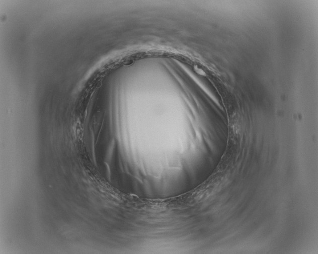 X0000072981495200608041230