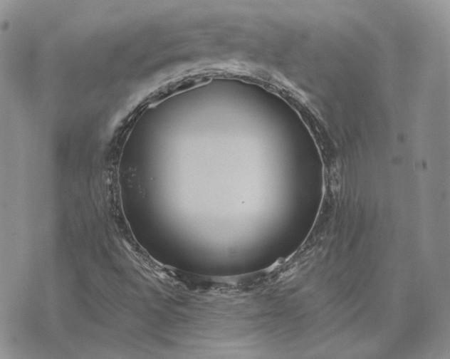 X0000072981496200608041230