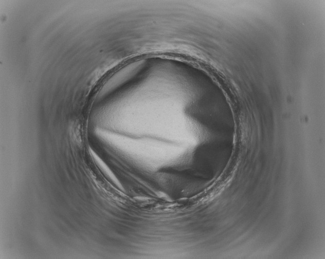 X0000072981497200608041230