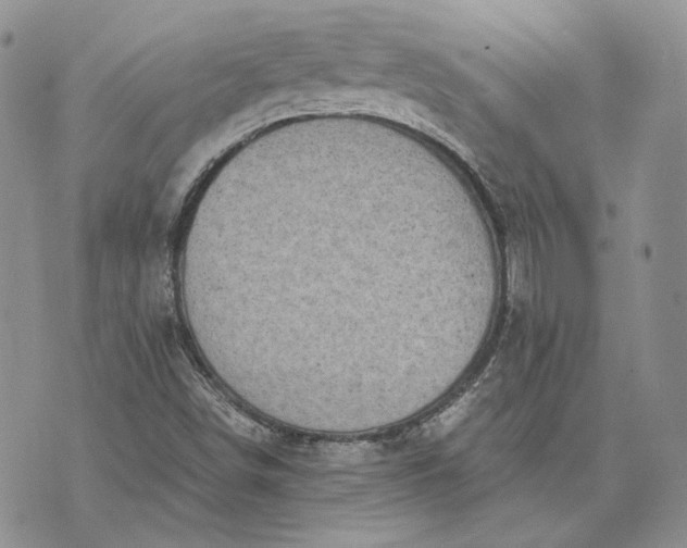 X0000072981498200608041230