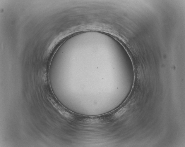 X0000072981499200608041230