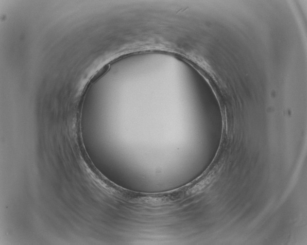 X0000072981500200608041230