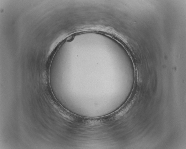 X0000072981501200608041230