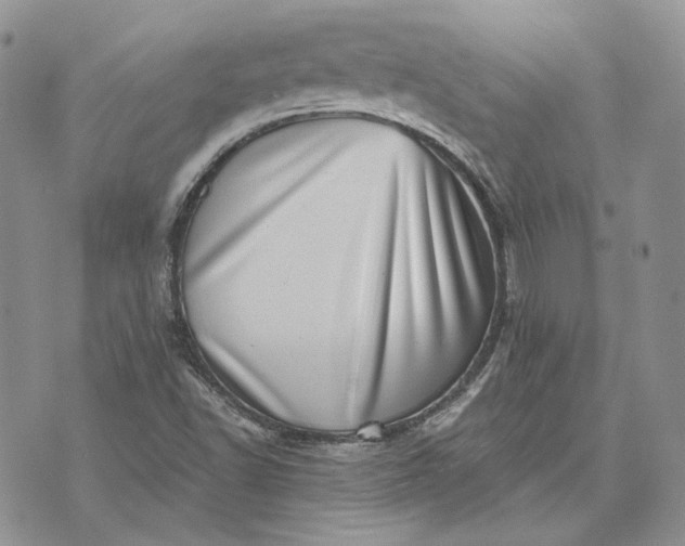 X0000072981502200608041230