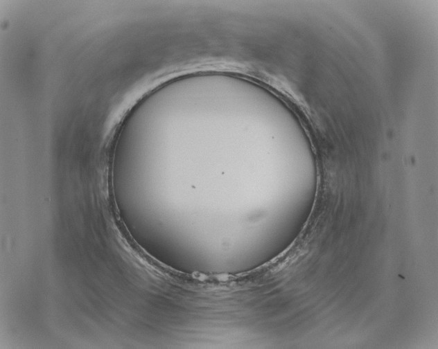 X0000072981504200608041230