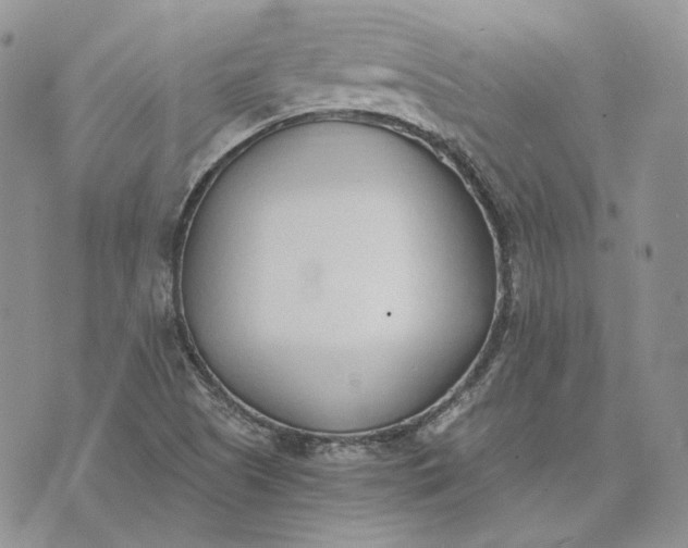 X0000072981505200608041230