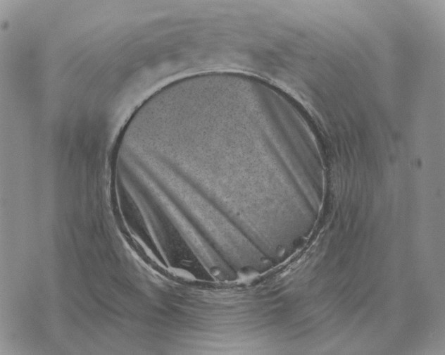 X0000072981508200608041230