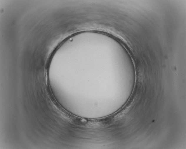 X0000072981509200608041230