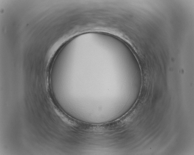 X0000072981511200608041230