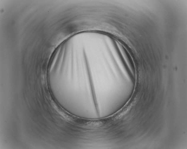 X0000072981513200608041230