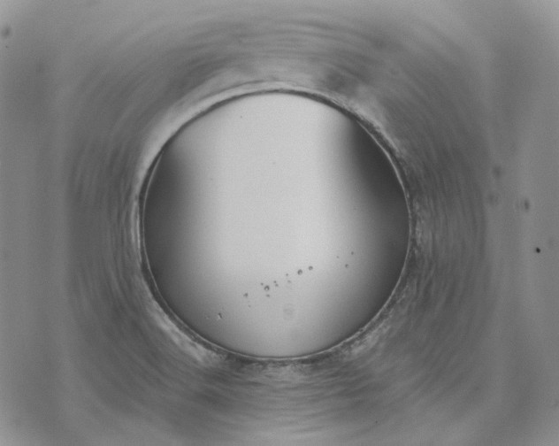 X0000072981516200608041230