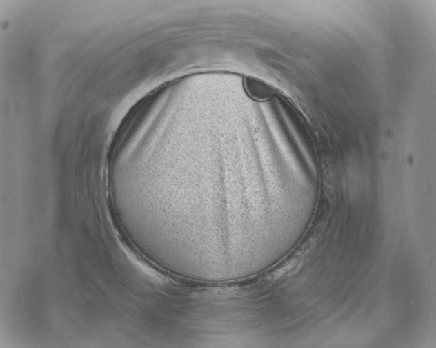 X0000072981519200608041230