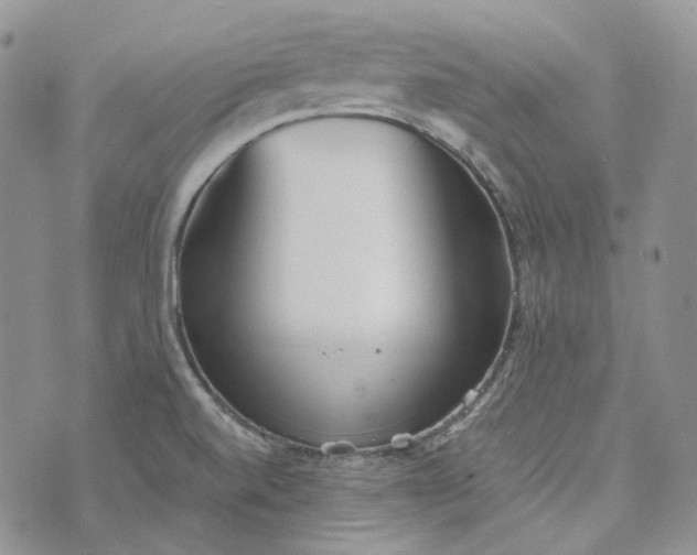 X0000072981520200608041230