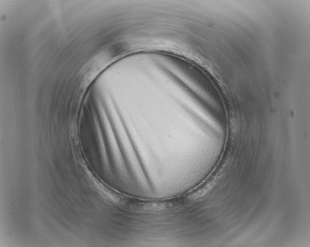 X0000072981521200608041230