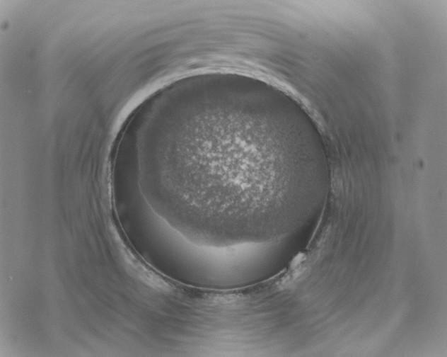 X0000072981522200608041230