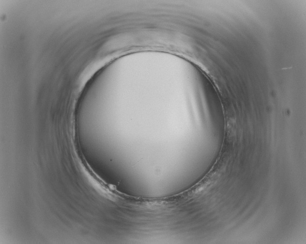 X0000072981523200608041230