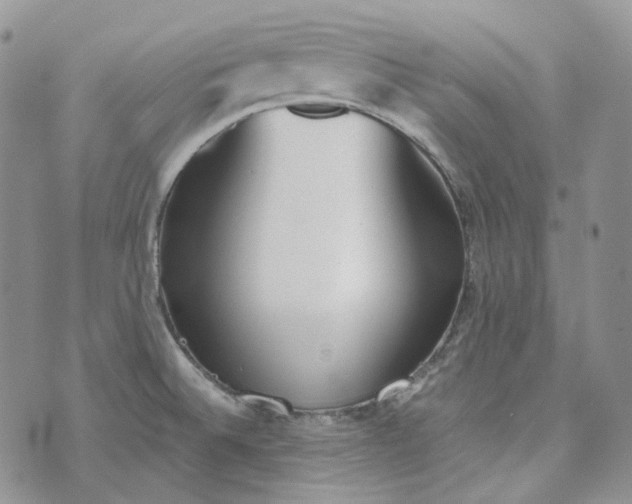 X0000072981524200608041230