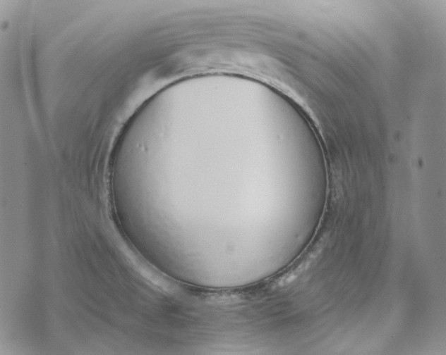 X0000072981525200608041230