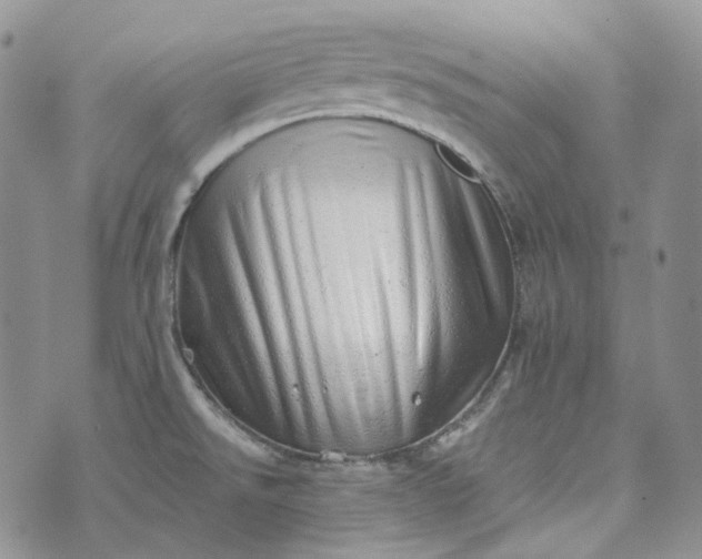 X0000072981526200608041230