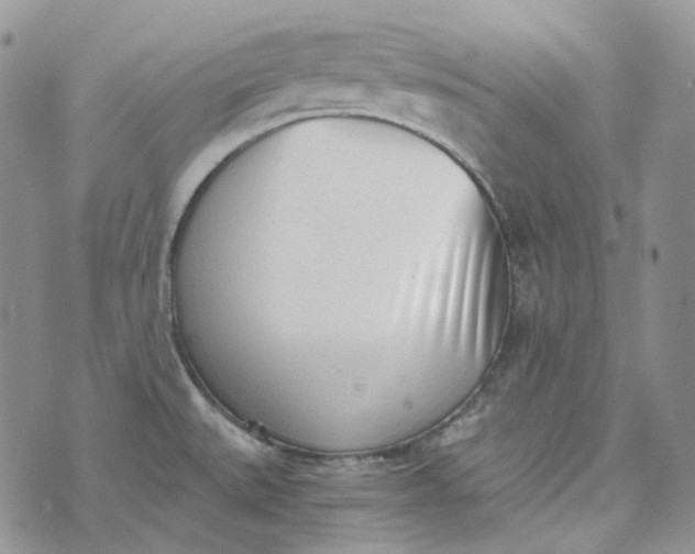 X0000072981527200608041230