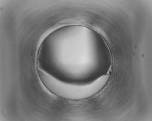 X0000072981528200608041230