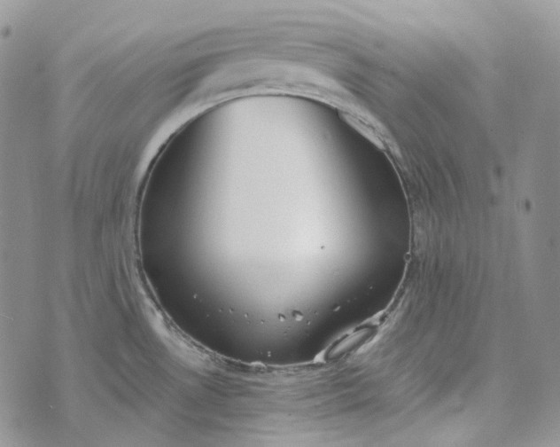 X0000072981530200608041230