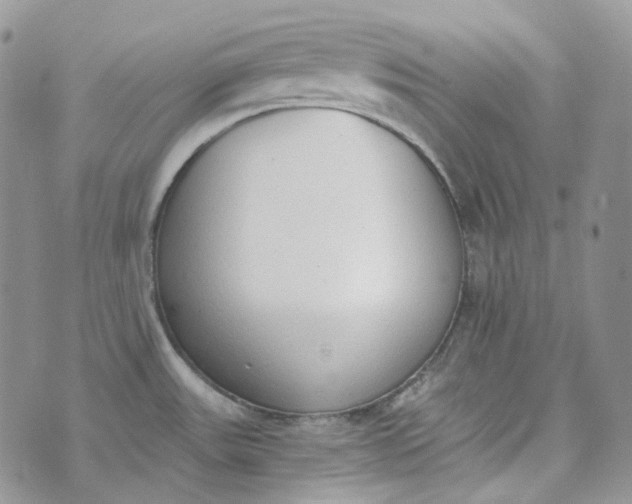 X0000072981531200608041230