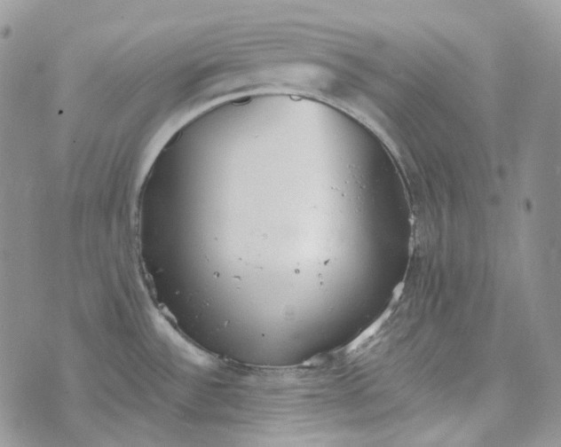 X0000072981532200608041230