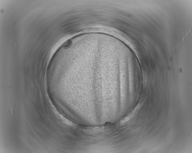 X0000072981533200608041230