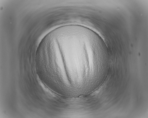 X0000072981534200608041230