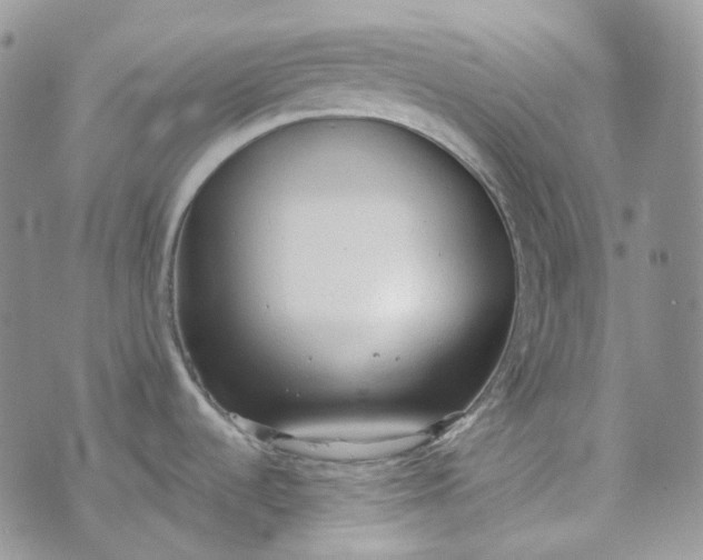 X0000072981536200608041230