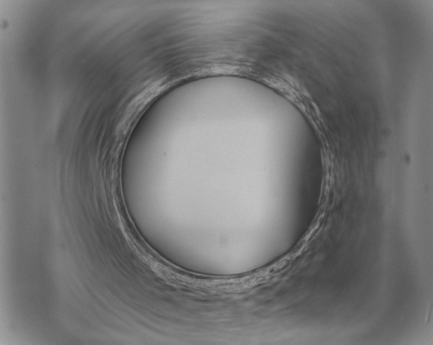 X0000072980001200608111753