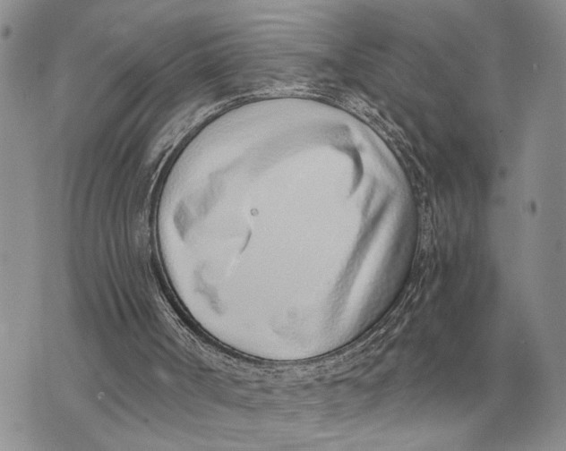 X0000072980002200608111753