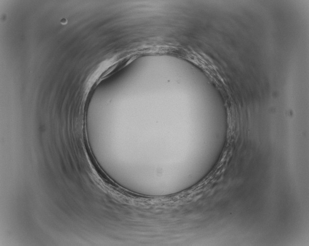 X0000072980003200608111753