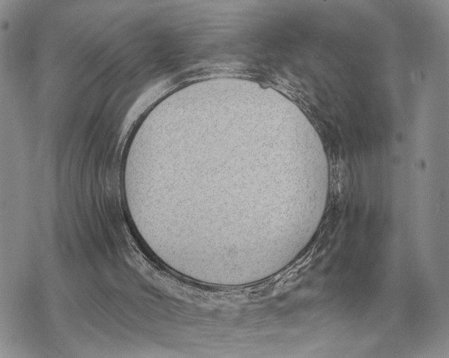 X0000072980004200608111753